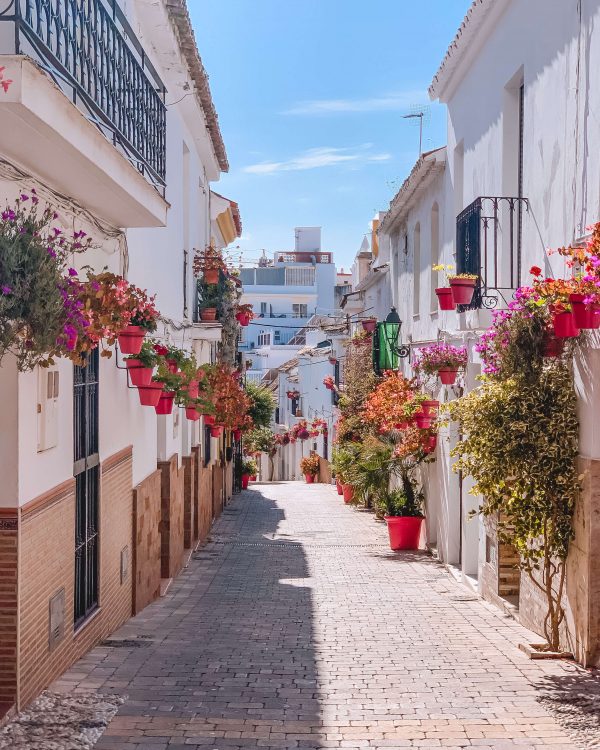 The streets of Estepona, Andalusia are lined with houses with whitewashed walls and brightly coloured flowerpots on their walls. This shot shows a narrow street in the city with bright red flowerpots overflowing with blooming flowers, contrasting with the whitewashed walls of the houses and the bright blue summer sky.