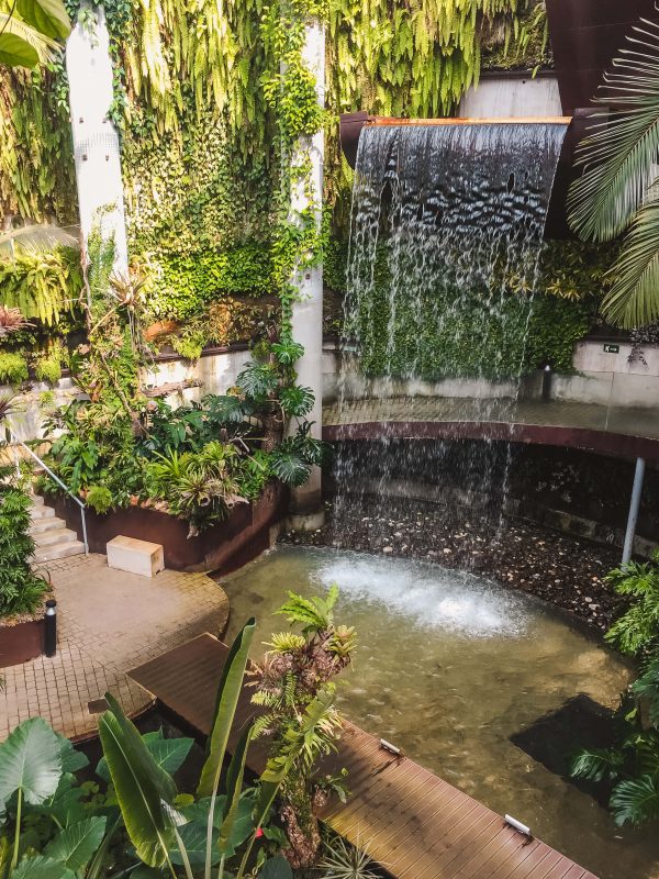 Inside Estepona's Orchid House you will find a beautiful 17m-high waterfalls, which cascades down into a pool below. The waterfall is surrounded by lush, tropical green plants and there is a small bridge crossing the pool it flows into.