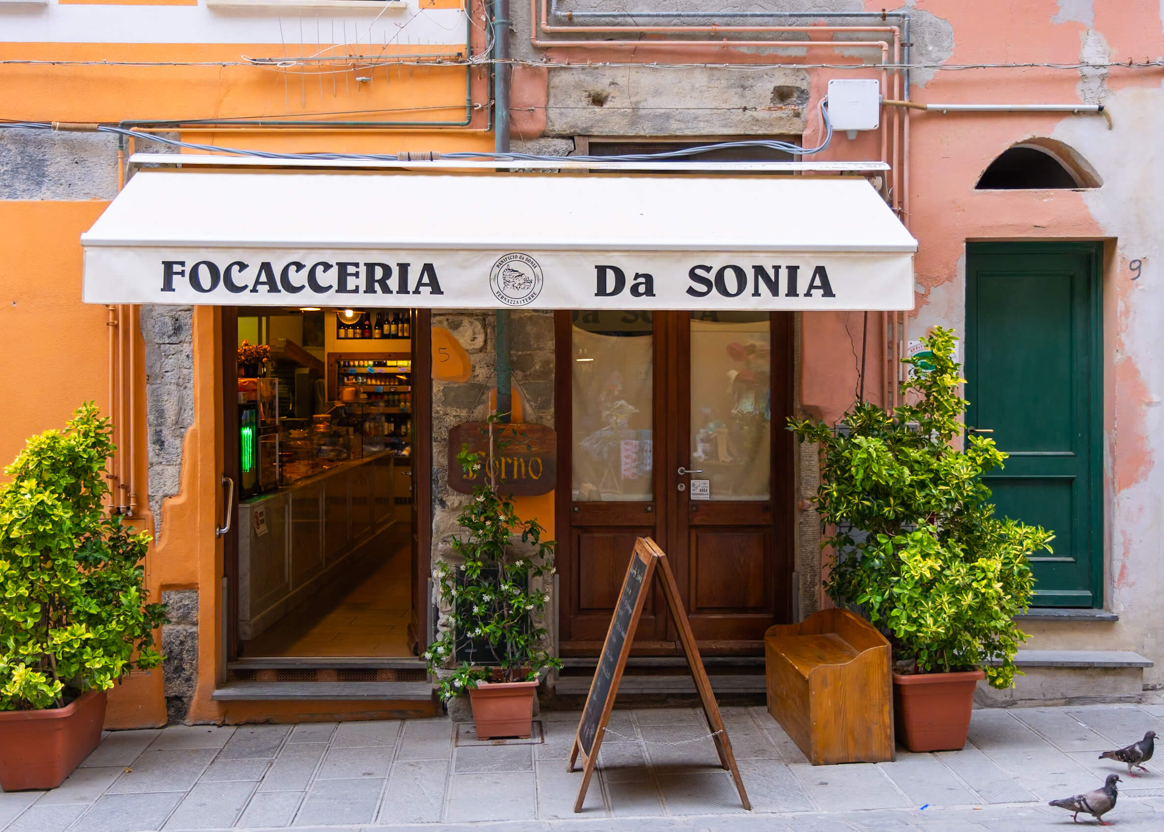 The charming facade of Focacceria Da Sonia in Vernazza, Cinque Terre, inviting visitors with its warm decor and traditional baked goods. The small shopfront is perfect for grabbing a quick bite and experiencing local flavors.