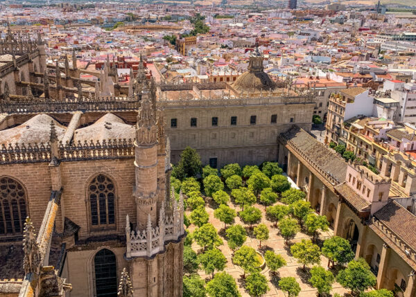 View from the Giralda over Seville Cathedral rooftops. the orange tree courtyard. and the dense city buildings beyond. The high viewpoint shows the size of the cathedral complex against the surrounding city.