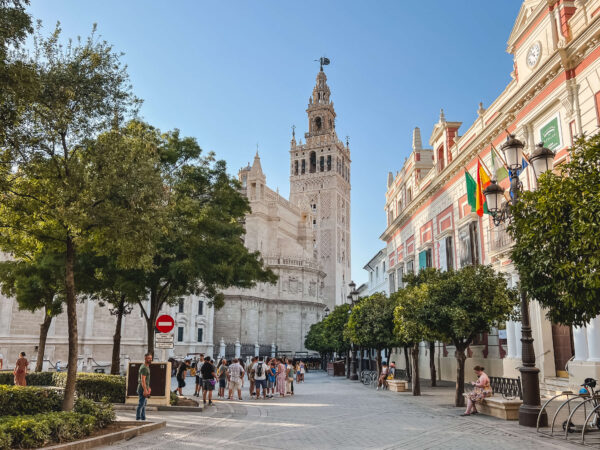 View of the Giralda tower and Seville Cathedral from a tree lined plaza with people gathered in the shade. Seeing the cathedral exterior and surrounding streets is one of the best things to do in Seville for free.