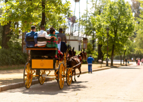 Horse drawn carriage with bright yellow wheels carries passengers through a shaded path in Parque de Maria Luisa. The leafy trees and soft afternoon light make the park feel calm and leisurely.