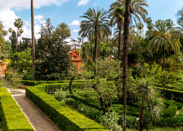 Formal gardens inside the Real Alcázar with tall palms. trimmed hedges. cloudy sky. and a straight path leading toward a small orange garden pavilion. Exploring these palace gardens is one of the best things to do in Seville.